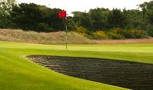 DLF to exhibit at BTME, Red Zone Stand 214