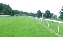Racecourses demand special grass seed mixtures – DLF has the answer.