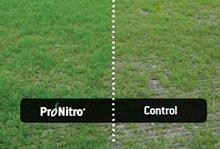 How to survive drought? Get the best start with ProNitro®